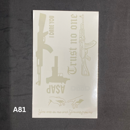 مجموعة اسلحة A81